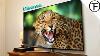 Hisense 55u7a Uled Hdr 4k Ultra Smart Tv Review After 6 Months