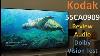 Kodak 55ca0909 55 Inch Ultra Hd 4k Led Smart Android Tv Review