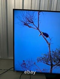 Panasonic 55hx700bz 55 Pouces 4k Ultra Hd Smart Android Tv Freeview Play