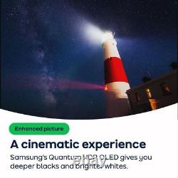 Samsung QE65S92C 65 pouces OLED 4K Ultra HD Smart TV Bluetooth WiFi